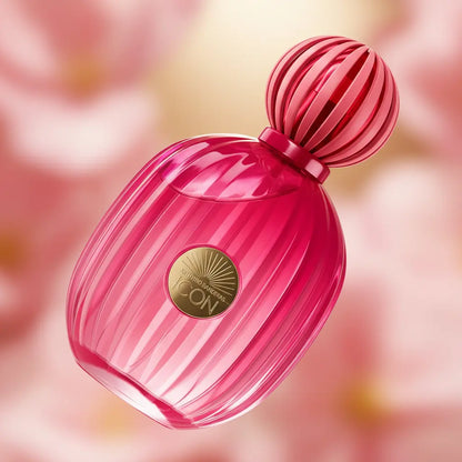 The Icon Eau de Parfum Feminino - Antonio Banderas - Universo do Perfume